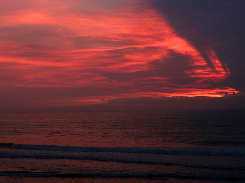 obx08.jpg