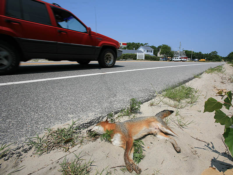 obx16.jpg