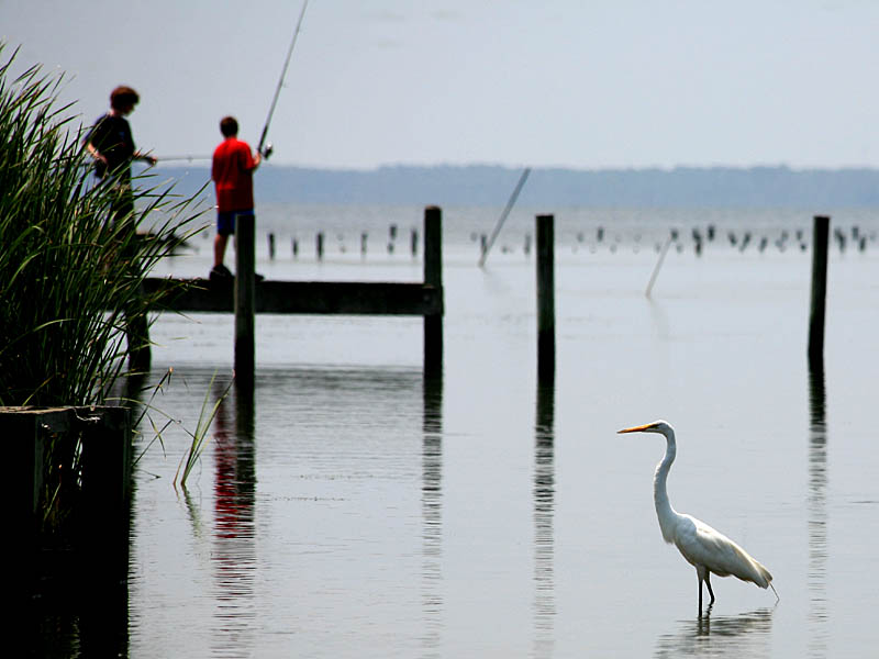 obx18.jpg