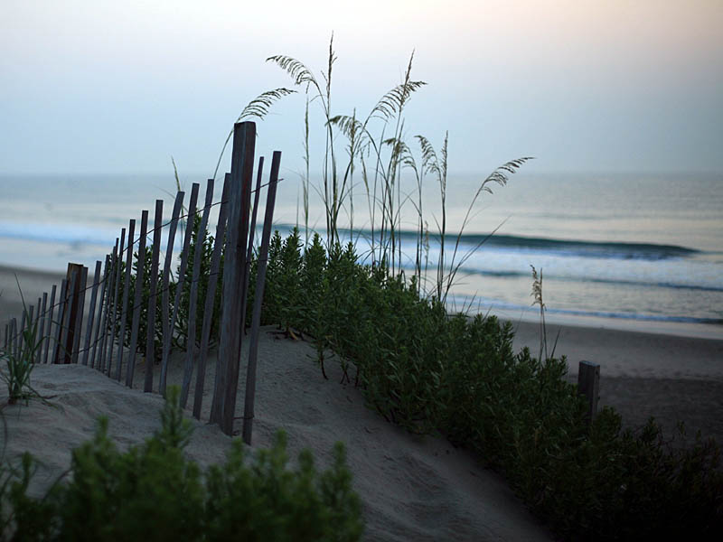 obx24.jpg