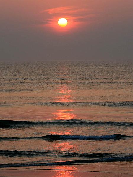 obx25.jpg