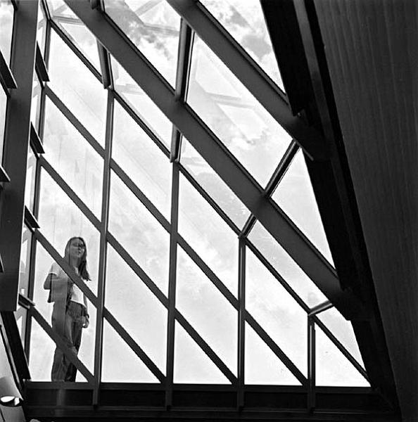 skylight.jpg