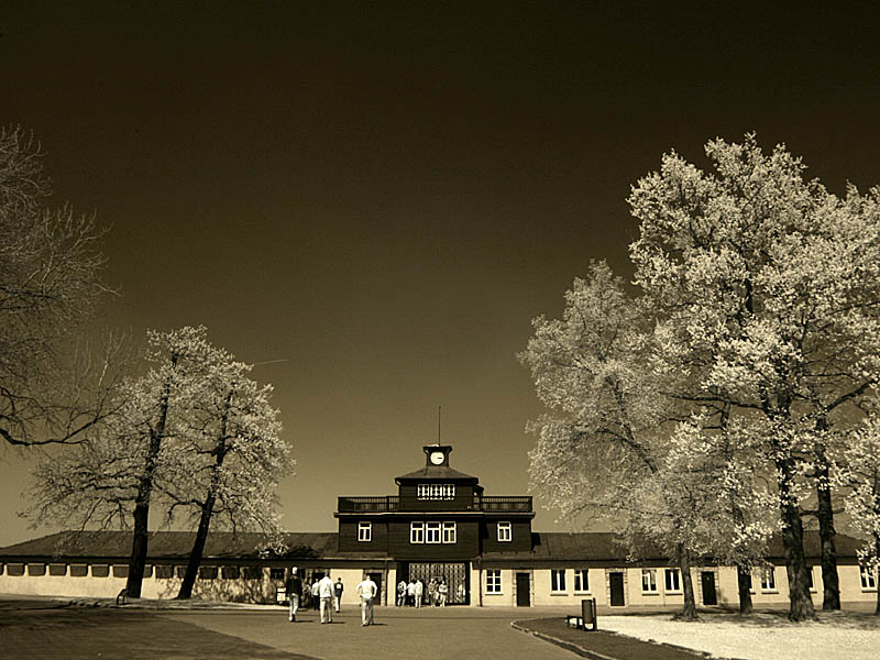 buchenwald01.jpg