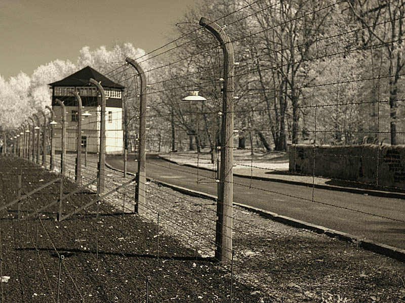 buchenwald09.jpg