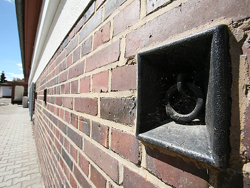 darmstadt08-19.jpg
