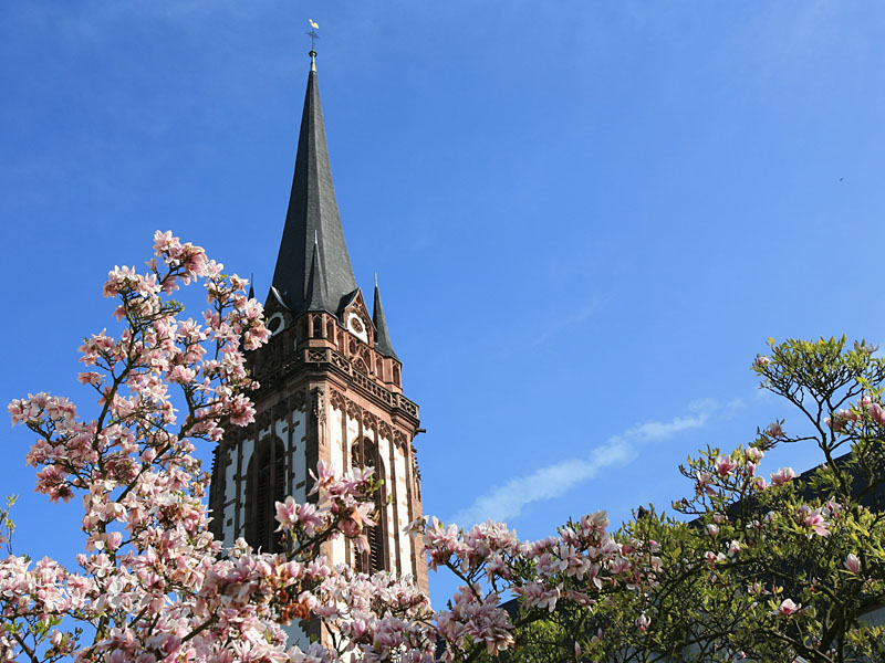 darmstadt1.jpg