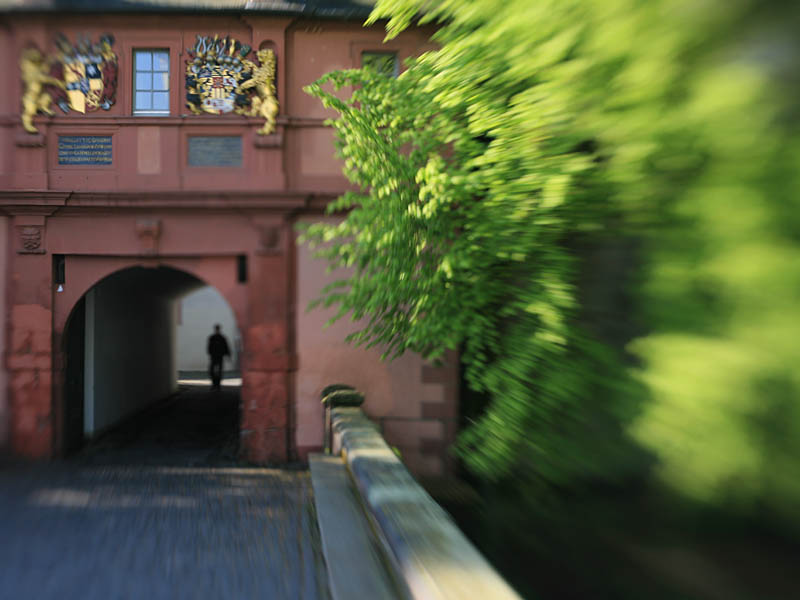 darmstadt3.jpg