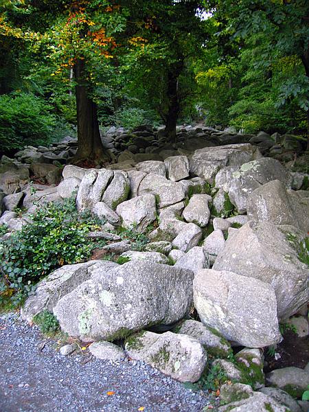 odenwald2.jpg