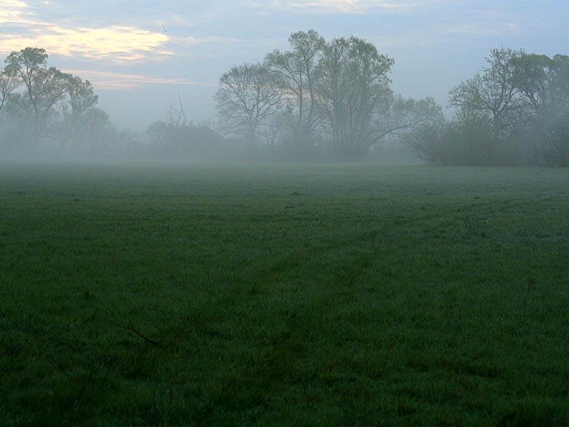 grenze07.jpg