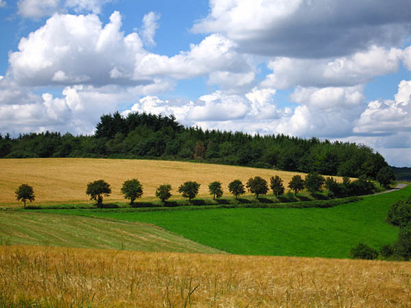 hohenstein.jpg