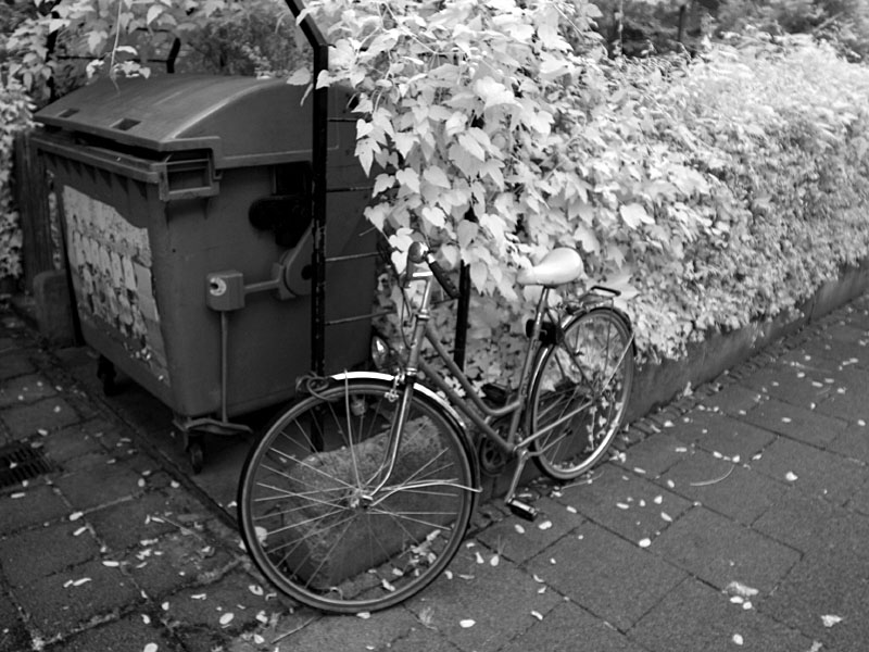 ir-test05.jpg