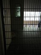 alcatraz13