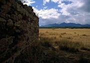 crittenden1
