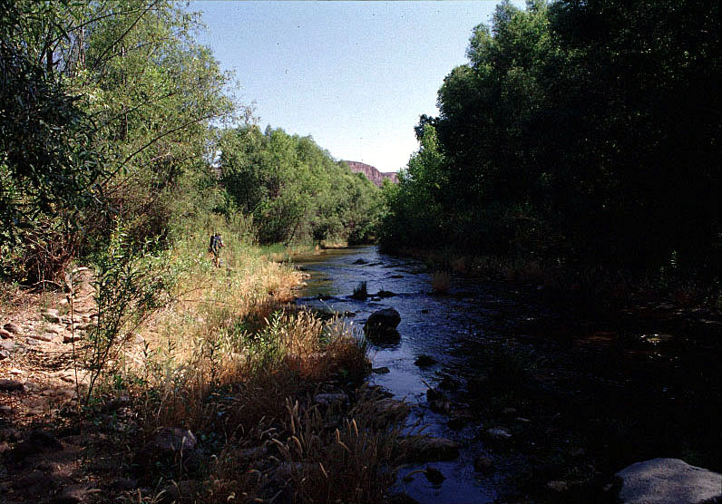 aravaipa01.jpg