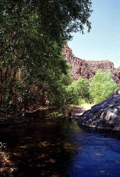 aravaipa04.jpg