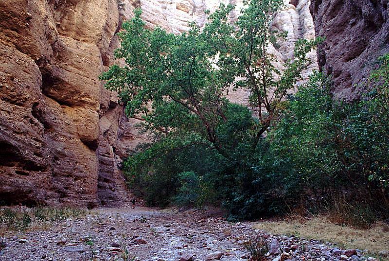 aravaipa05.jpg