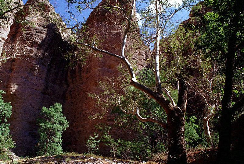 aravaipa06.jpg