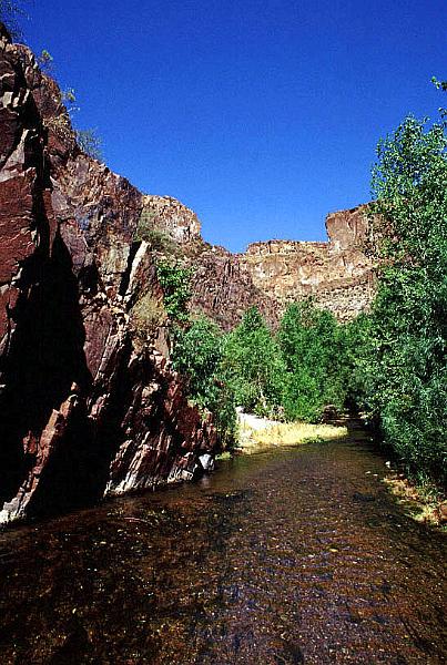 aravaipa08.jpg