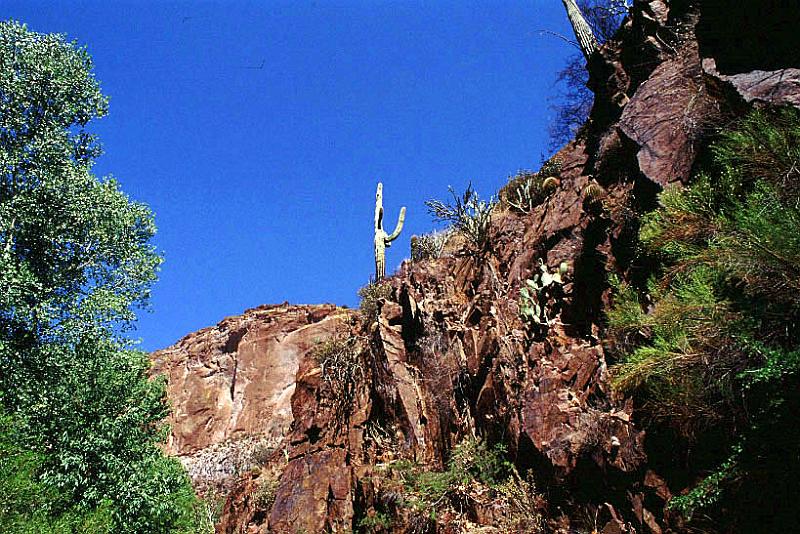 aravaipa09.jpg