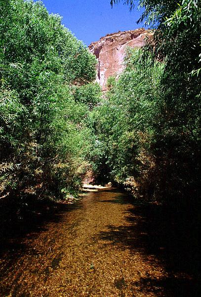 aravaipa10.jpg