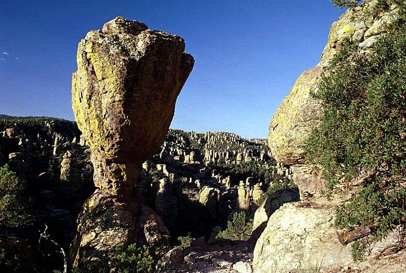 chiricahua4.jpg
