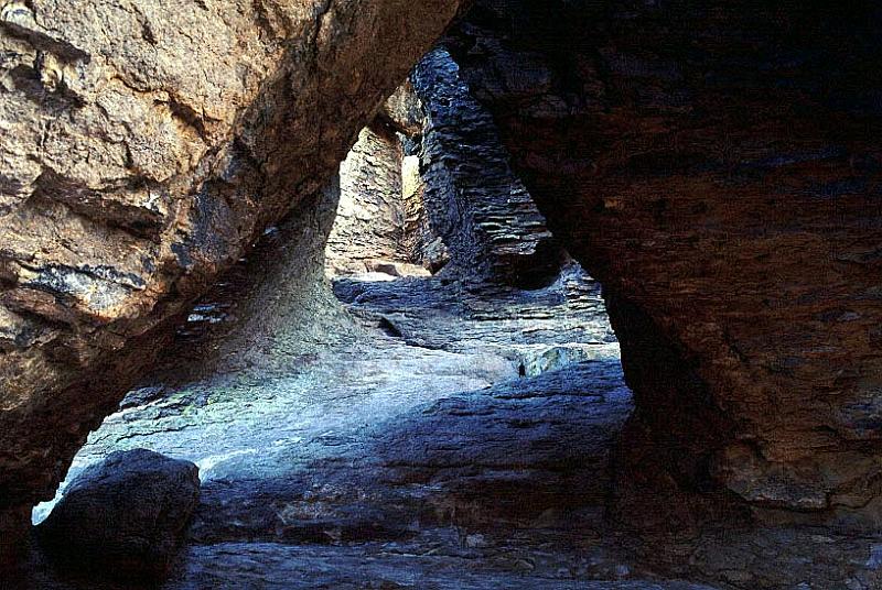 chiricahua5.jpg