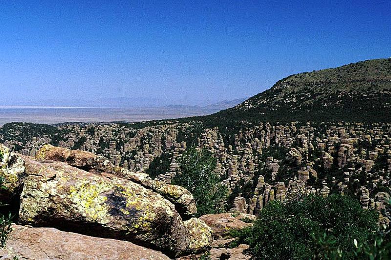 chiricahua6.jpg