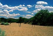 sand_river